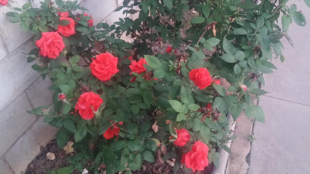 إل إيغيرون El Manantial B&B المظهر الخارجي الصورة